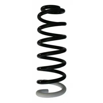 Ressort de suspension SPIDAN 87408
