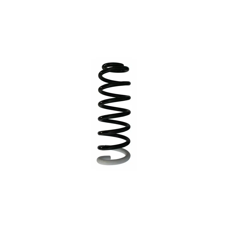 Ressort de suspension SPIDAN 87408