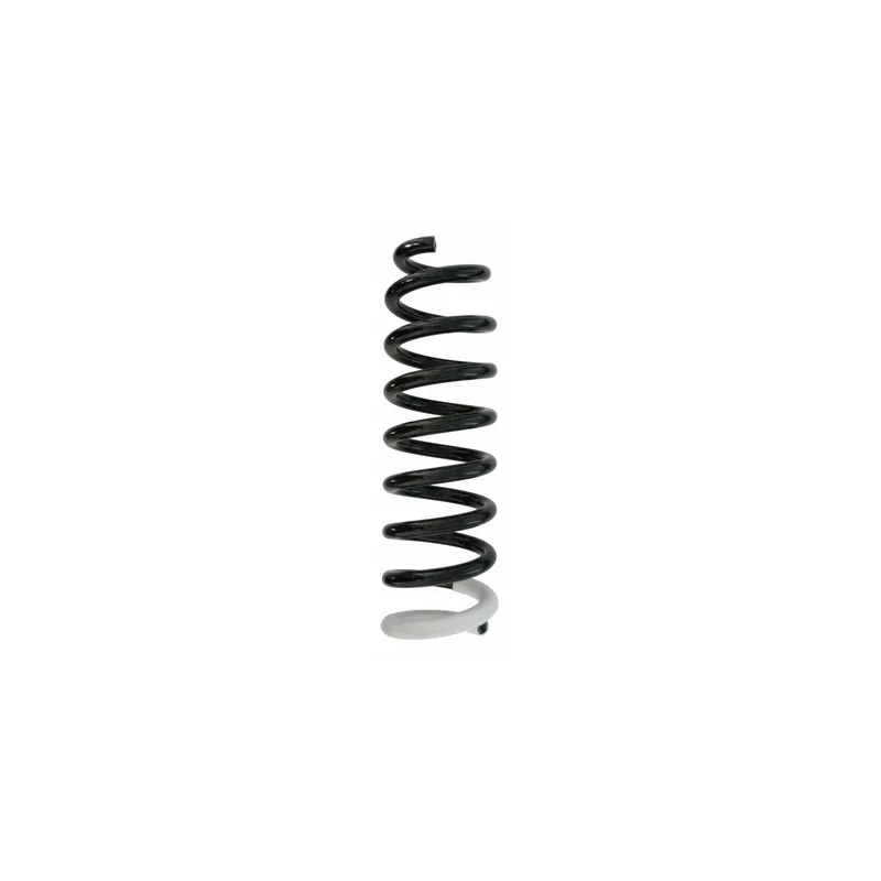 Ressort de suspension SPIDAN 87410