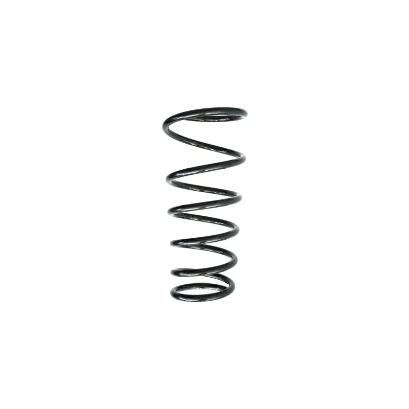Ressort de suspension SPIDAN 87416