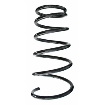 Ressort de suspension SPIDAN 87418