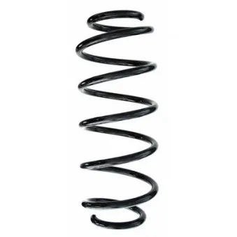 Ressort de suspension SPIDAN 87425