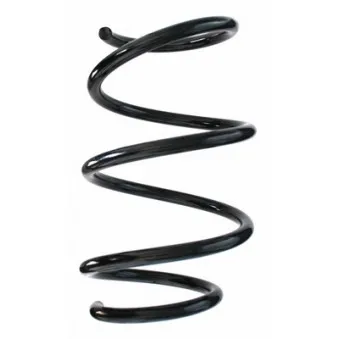 Ressort de suspension SPIDAN 87426