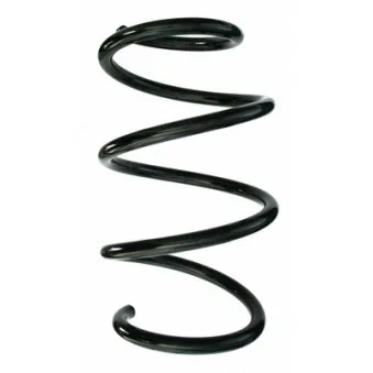 Ressort de suspension SPIDAN 87428