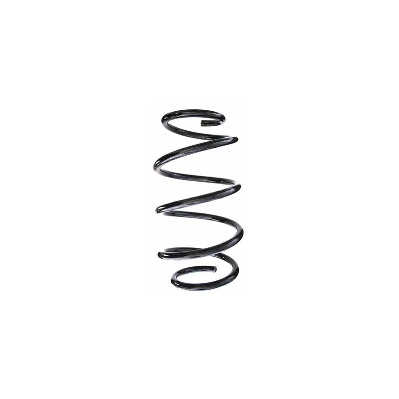 Ressort de suspension SPIDAN 87448