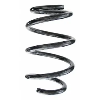 Ressort de suspension SPIDAN 87452
