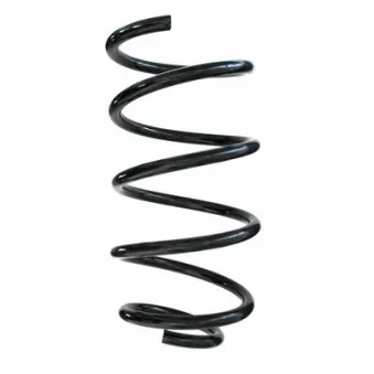 Ressort de suspension SPIDAN 87455