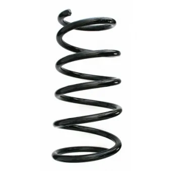 Ressort de suspension SPIDAN 87460