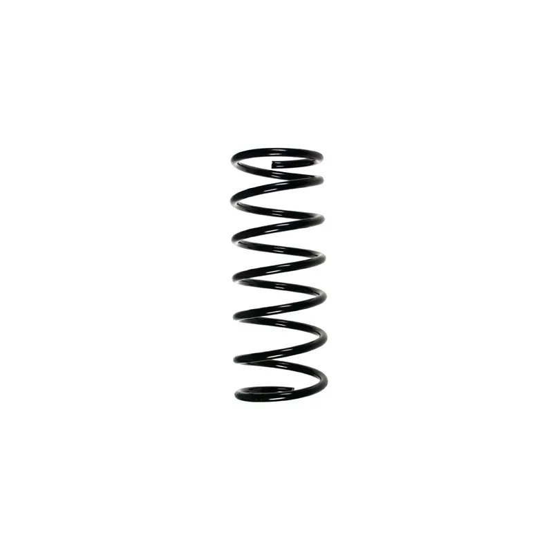 Ressort de suspension SPIDAN 87461