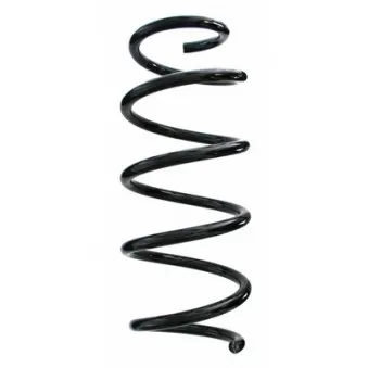 Ressort de suspension SPIDAN 87470