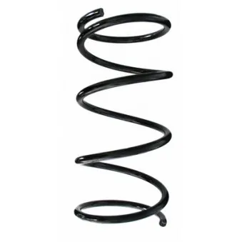 Ressort de suspension SPIDAN 87473