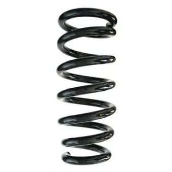 Ressort de suspension SPIDAN 87481