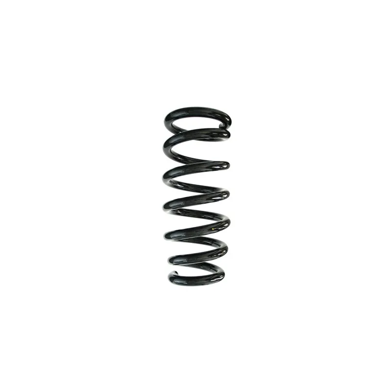 Ressort de suspension SPIDAN 87481