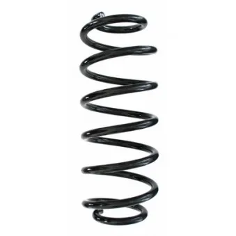 Ressort de suspension SPIDAN 87486