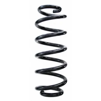 Ressort de suspension SPIDAN 87493