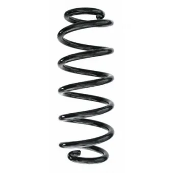 Ressort de suspension SPIDAN 87496