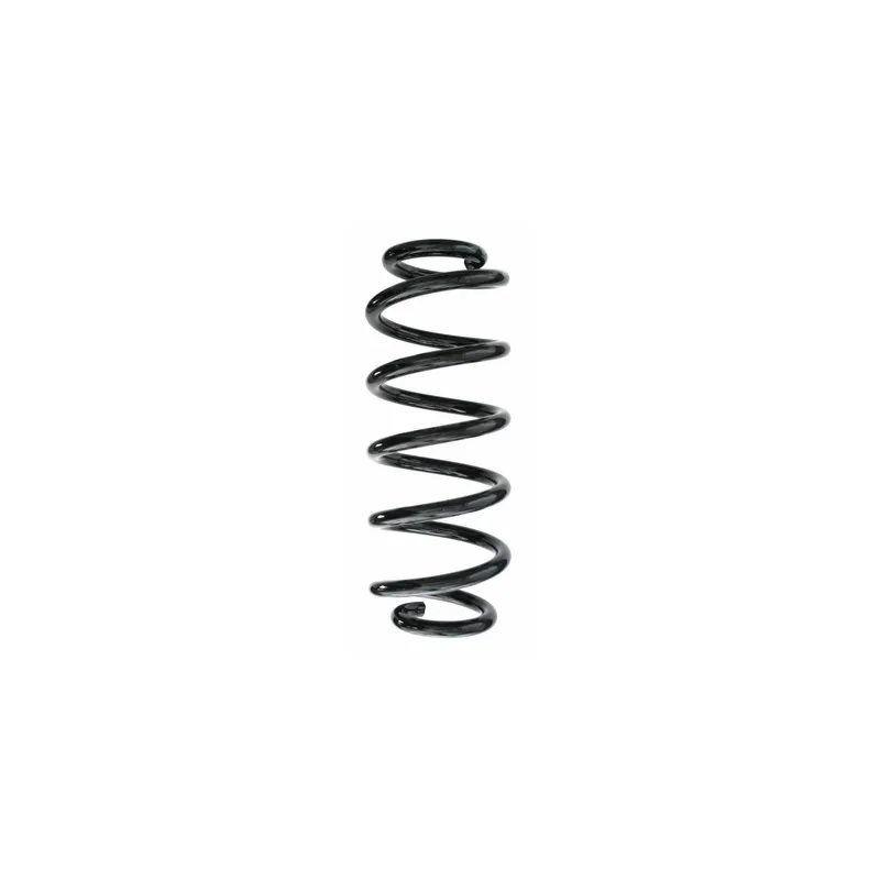 Ressort de suspension SPIDAN 87496
