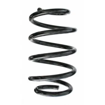 Ressort de suspension SPIDAN 87498
