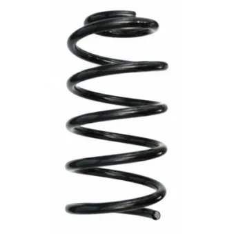Ressort de suspension SPIDAN 87500