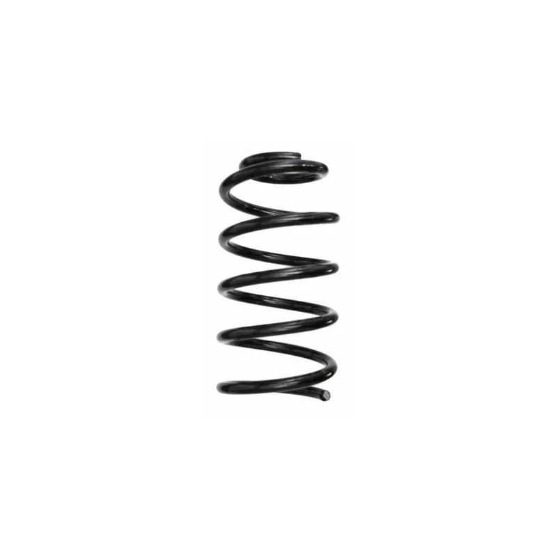 Ressort de suspension SPIDAN 87500