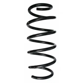 Ressort de suspension SPIDAN 87501