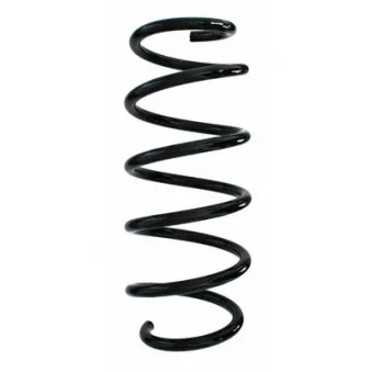 Ressort de suspension SPIDAN 87502