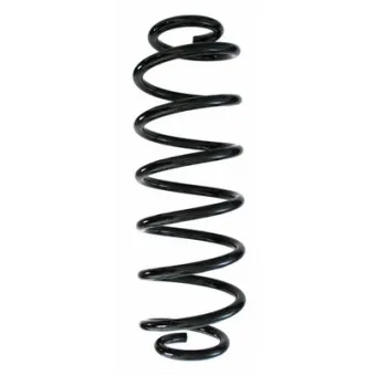 Ressort de suspension SPIDAN 87503