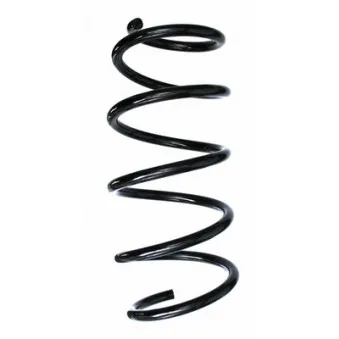 Ressort de suspension SPIDAN 87505