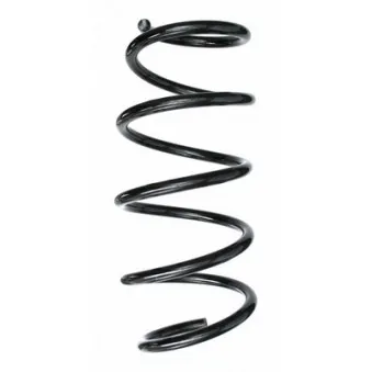 Ressort de suspension SPIDAN 87506