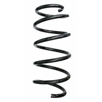 Ressort de suspension SPIDAN 87507