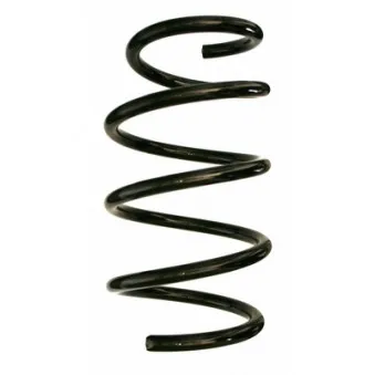 Ressort de suspension SPIDAN 87512