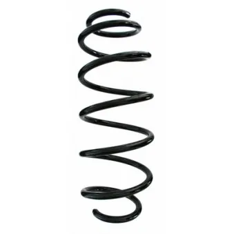 Ressort de suspension SPIDAN 87516