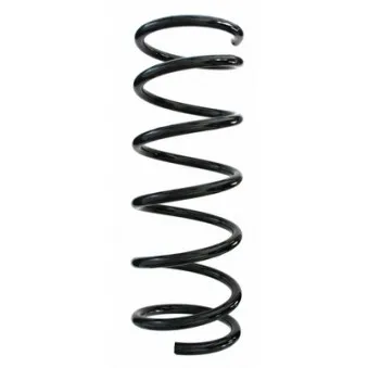 Ressort de suspension SPIDAN 87517