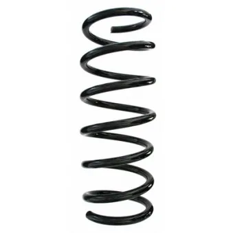 Ressort de suspension SPIDAN 87518
