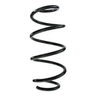 Ressort de suspension SPIDAN 87520