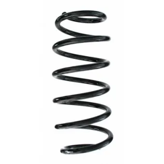 Ressort de suspension SPIDAN 87525