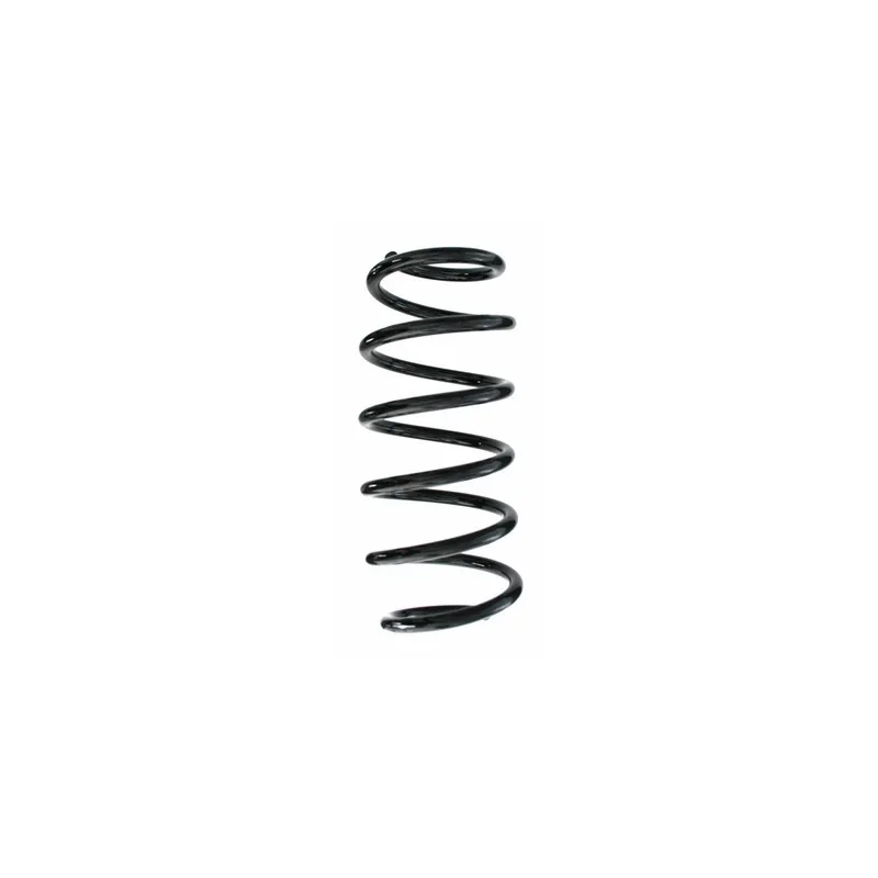 Ressort de suspension SPIDAN 87525