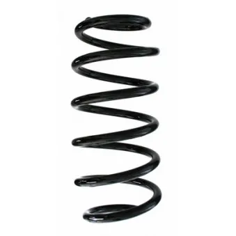 Ressort de suspension SPIDAN 87527