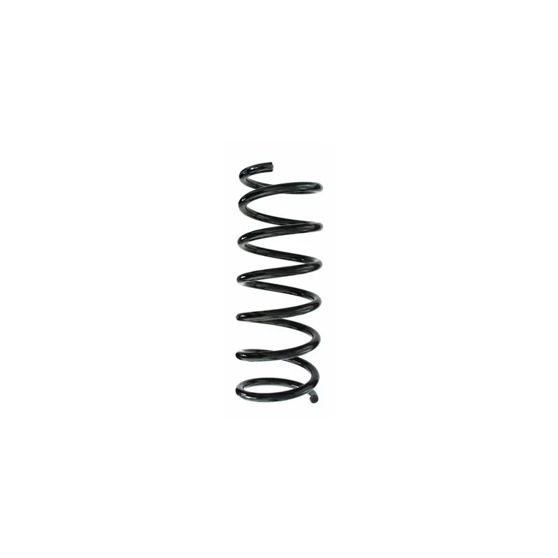Ressort de suspension SPIDAN 87530