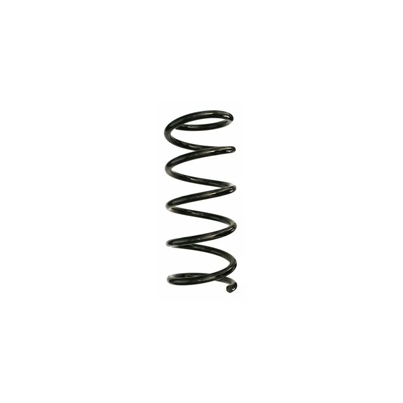 Ressort de suspension SPIDAN 87534