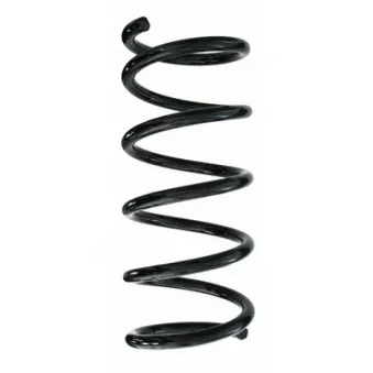 Ressort de suspension SPIDAN 87535