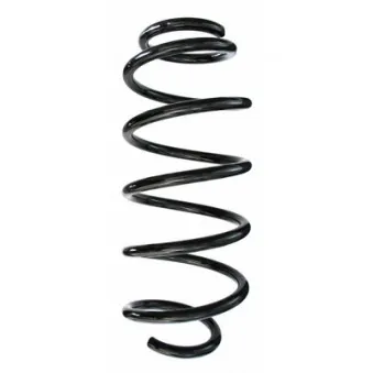 Ressort de suspension SPIDAN 87538