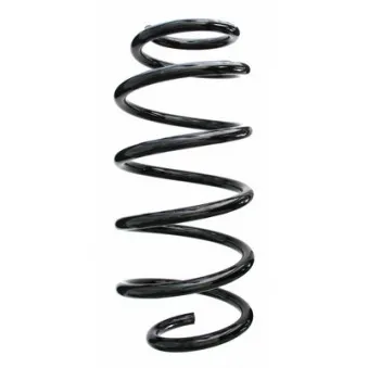 Ressort de suspension SPIDAN 87540