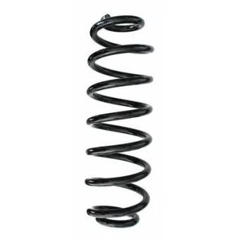 Ressort de suspension SPIDAN 87550
