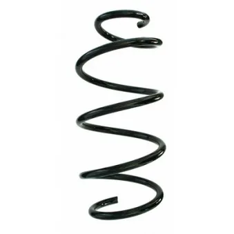 Ressort de suspension SPIDAN 87553