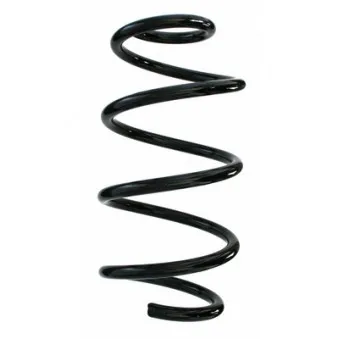 Ressort de suspension SPIDAN 87555