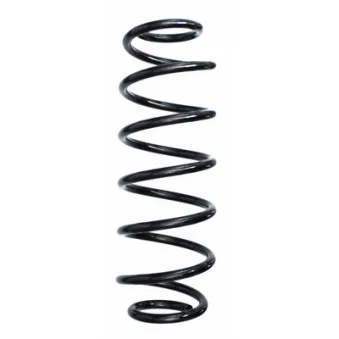 Ressort de suspension SPIDAN 87556