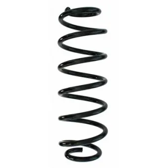 Ressort de suspension SPIDAN 87557