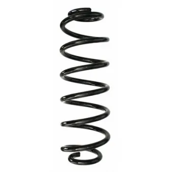 Ressort de suspension SPIDAN 87558
