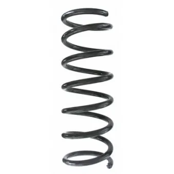 Ressort de suspension SPIDAN 87560